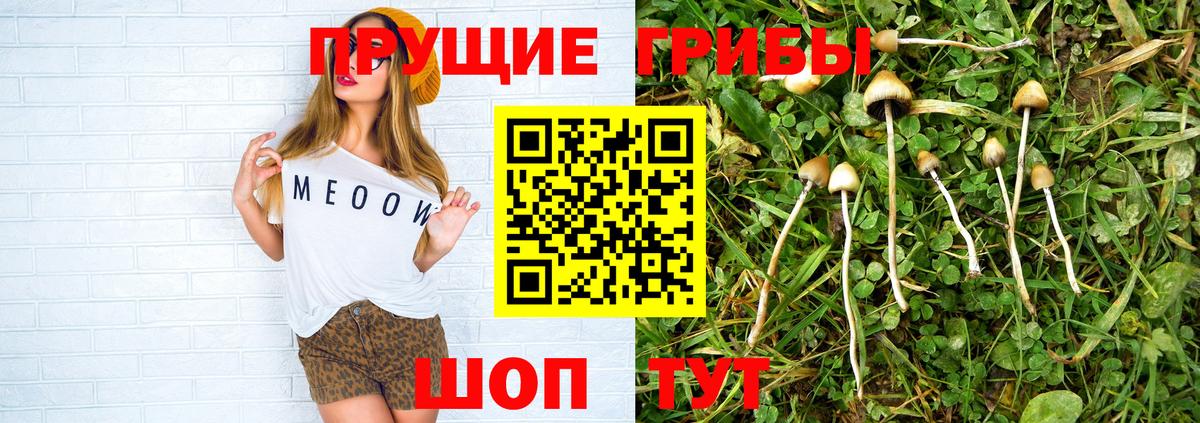 Минеральные Воды  Псилоцибиновые грибы Magic Shrooms  Вход с VPN 