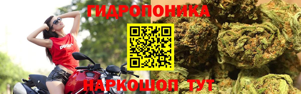 Бошки Шишки план Минеральные Воды